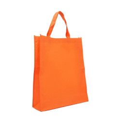 Bolsa Z3 44x38x12
