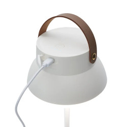 Lampara Fungi||Tecnología y audio