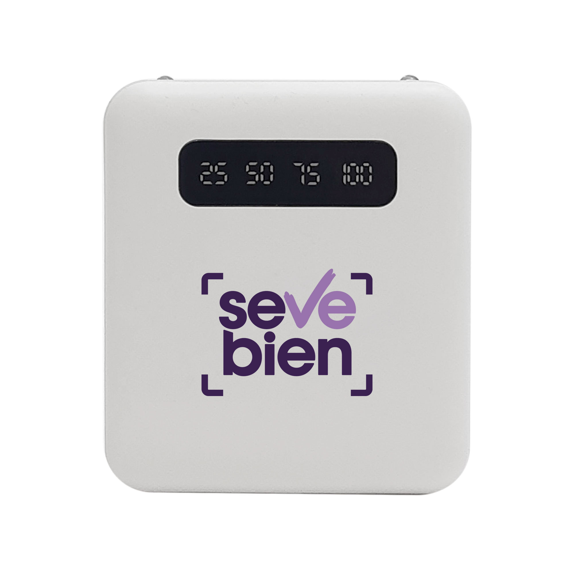 Power Bank Multipuerto Connecticut