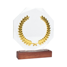 Imagen Alternativa Trofeo Galvano de Madera, Cristal y Acero Phelps 2