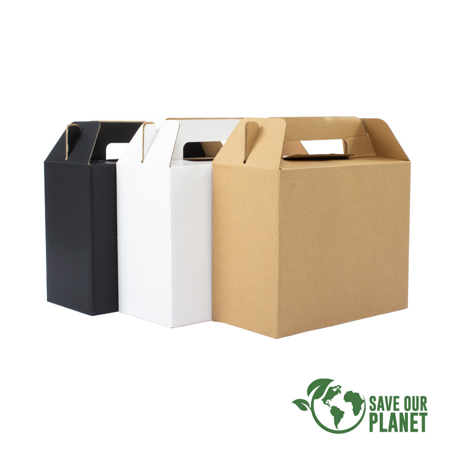 Caja Autoarmable con Asas, 25X20X12 Cm
