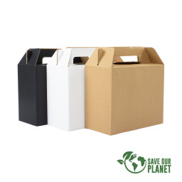 Imagen Alternativa Caja Autoarmable con Asas, 25X20X12 Cm 1