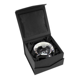 Imagen Alternativa Trofeo Galvano Cristal Planet 4
