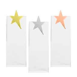 Imagen Alternativa Trofeo Galvano de Cristal Ledecky 1