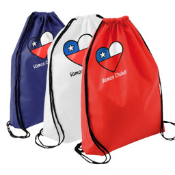 Imagen Alternativa Mochila Tipo Morral Vamos Chile!! 1