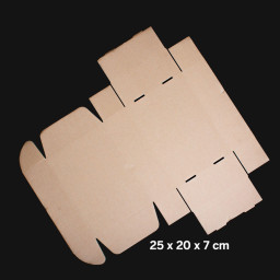 Imagen Alternativa Caja Autoarmable 25X20X7 Cm 3