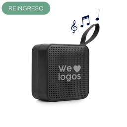 Imagen Alternativa Parlante Play 13