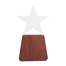 Imagen Alternativa Trofeo de Madera y Cristal Lonely Star 2