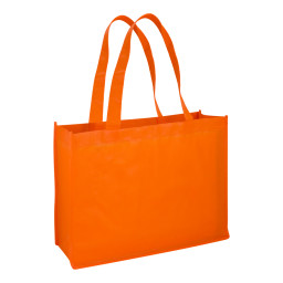 Imagen Alternativa Bolsa Reutilizable Horizontal 5