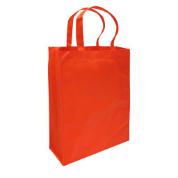 Imagen Alternativa Bolsa Reutilizable Conference 4