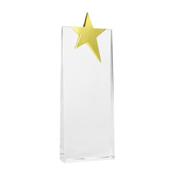 Imagen Alternativa Trofeo Galvano de Cristal Ledecky 4