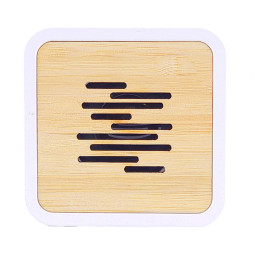 Imagen Alternativa Parlante Frame 5