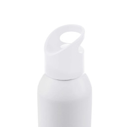 Imagen Alternativa Botella Penguin 11