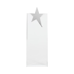 Imagen Alternativa Trofeo Galvano de Cristal Ledecky 3