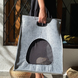 Imagen Alternativa Bolso de Fieltro Porta-Mascota 7