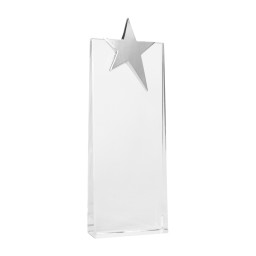 Imagen Alternativa Trofeo Galvano de Cristal Ledecky 2