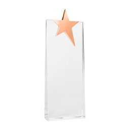 Imagen Alternativa Trofeo Galvano de Cristal Ledecky 7