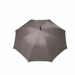Imagen Alternativa Paraguas Dumm 4