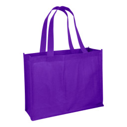 Imagen Alternativa Bolsa Reutilizable Horizontal 13