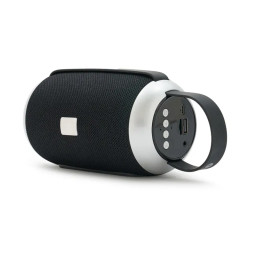 Imagen Alternativa Parlante Polifonic 7