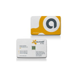 Imagen Alternativa Usb Pendrive 8Gb Credit Card 2