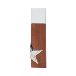 Imagen Alternativa Trofeo de Madera y Cristal Silver Star 2