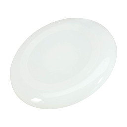 Imagen Alternativa Frisbee Plástico 2