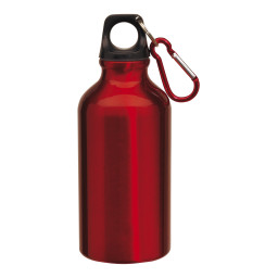 Imagen Alternativa Botella Roy 4