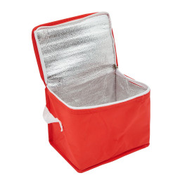 Imagen Alternativa Cooler Mini 21